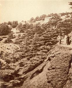 ALGER 000055 CHREA
